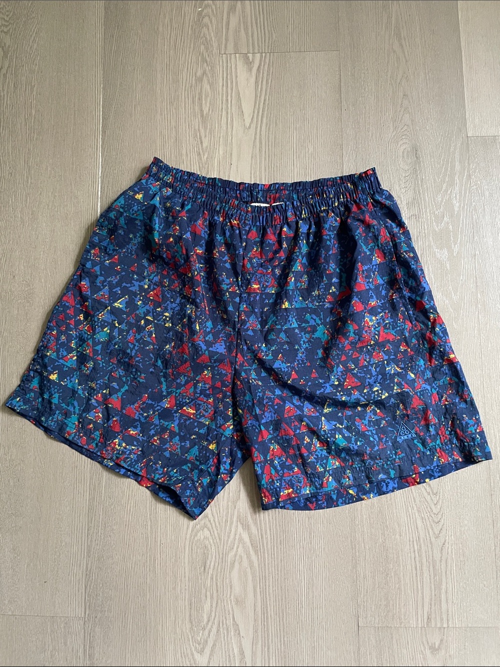 Vintage Nike ACG shorts